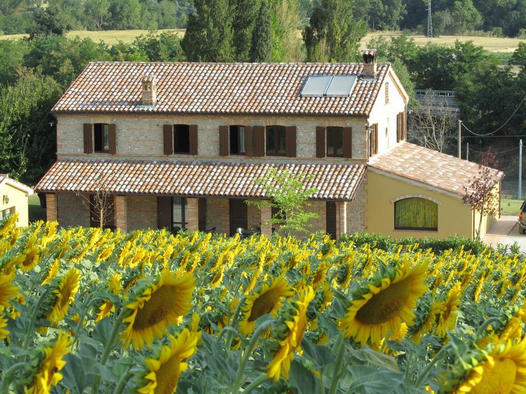 Agriturismo La Vecchia Fonte Guest House Castelbellino Екстериор снимка